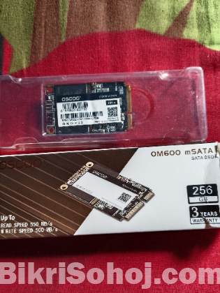 256 GB SSD. M SATA